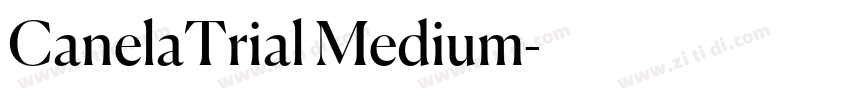 CanelaTrial Medium字体转换